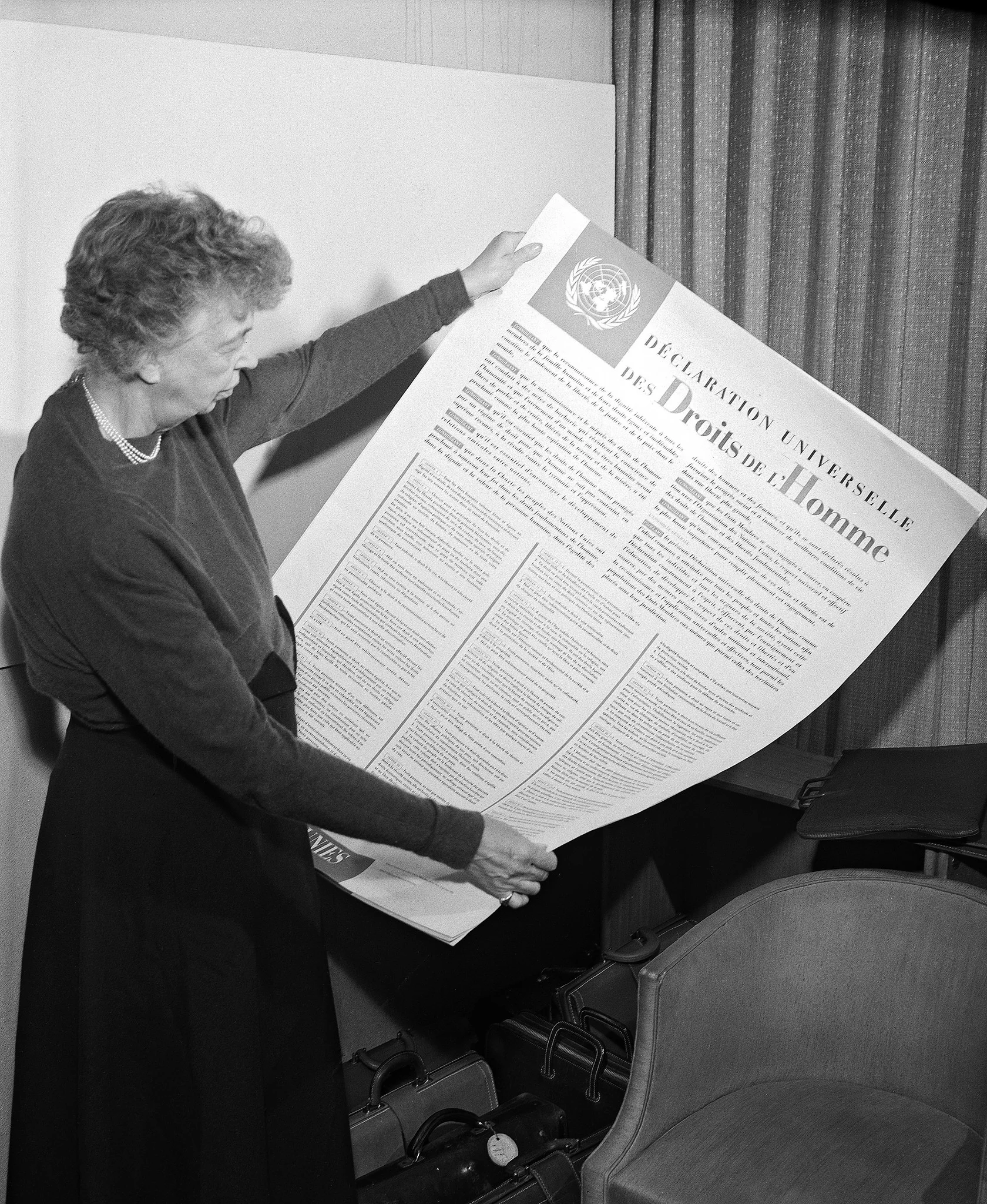dhr eleanorroosevelt