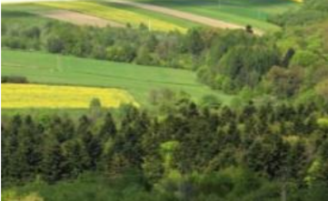 góra partia